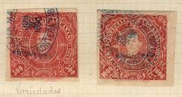 MEXICO: ADUANAS: Year 1889, 3 Album Pages Of Old Collection With 55 Stamps Between 1c. And $1000, Including Examples Ove - Mexico