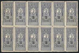 PARAGUAY: Large Block Of 12 Very Old Stamps  Of 2c., Mint Without Gum (appears To Be A Proof), Fine Quality - Paraguay