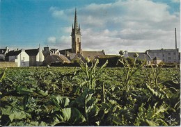 Plouescat - Dans La Zone Légumière De Léon, église - Plouescat