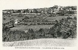 SAINT SAUVEUR EN PUISAYE VUIE GENERALE ET VALLEE DU LOING - Saint Sauveur En Puisaye