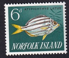 NORFOLK (Océanie) 1960-63 - YT N°30 - 6 P. - Série Courante - Atypichthys Latus - NEUF**- TTB Etat - Norfolk Island
