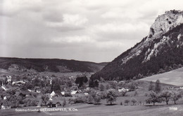 Gleissenfeld (Scheiblingkirchen Thernberg) * Gesamtansicht, Felsen  * Österreich * AK2246 - Neunkirchen