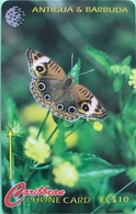 ANTIGUA Et BARBUDA  -  Phonecard  -  Donkey Eye Butterfly  -  EC $ 10 - Antigua U. Barbuda