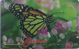 ANTIGUA Et BARBUDA  -  Phonecard  -  The Monarch  - EC $ 20 - Antigua U. Barbuda