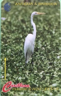 ANTIGUA Et BARBUDA  -  Phonecard  -  Great Egret  -  EC $ 10 - Antigua And Barbuda