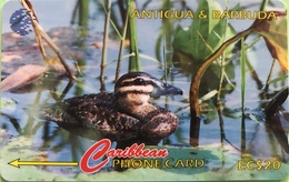 ANTIGUA Et BARBUDA  -  Phonecard  -  Masked Duck  -  EC $ 20 - Antigua And Barbuda