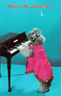 Trois-Rivières Québec - Restaurant Saint-Maurice - Dog Poodle Playing Piano - Chien Caniche - Written 1962 - 2 Scans - Trois-Rivières