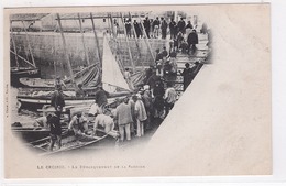 CPA - 44 -  LE CROISIC - Le Débarquement De La Sardine - Le Croisic