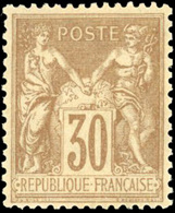 ** 30c. Brun-jaune. SUP. - 1876-1878 Sage (Type I)