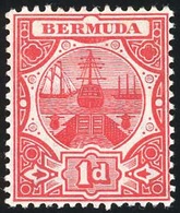 * Set Of 14. VF. - Bermuda