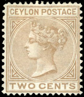 * 2c. Brown. P. 14 X 12 1/2. TB. - Ceylon (...-1947)