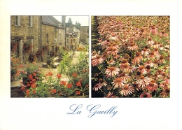 56 - La Gacilly - La Rue La Fayette Et Champ De Fleurs Des Etablissements Yves Rocher - Multivues - La Gacilly