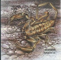 Tanzanie - Scorpion - Arachnids Hadogenes Sp. - 1994 - ° - Spinnen