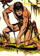 Bandes Dessinées - Les Aventures De Tarzan - Semi Moderne Grand Format - état - Comics