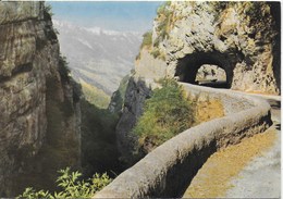 Vercors -  Route Des Grands Goulets - Les Grands Goulets