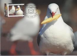 3489  Tarjeta Maxina   Sydney 2000 , Ave, Pajaro,   Australia Paloma - Pigeons & Columbiformes