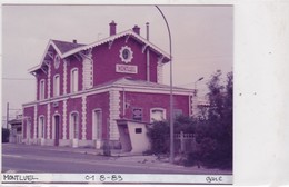 01 / MONTLUEL  /  PHOTO VERITABLE GARE / 1983 - Montluel