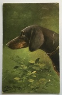 CANE -FIRMATA MULLER   -VIAGGIATA FP 1902 - Hunde