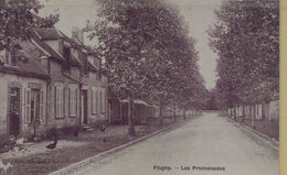 Flogny La Chapelle : Les Promenades - Flogny La Chapelle