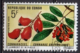 CONGO N° 271 O Y&T 1970 Faunes Et Flores (Connarus Griffonianus) - Oblitérés