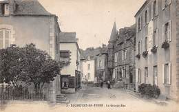 Rochefort-en-Terre        56       La Grande Rue    2          (Voir Scan) - Rochefort En Terre