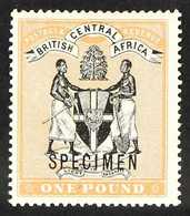 1895  £1 Black And Yellow- Orange Opt'd "SPECIMEN", SG 29s, Very Fine Mint. For More Images, Please Visit Http://www.san - Nyassaland (1907-1953)