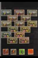 BIRDS TOPICAL COLLECTION  1937-2009. Chiefly All Different Mint, Used & Never Hinged Mint Collection Of Stamps Including - Ecuador