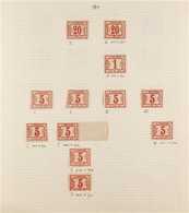 POSTAGE DUES  1884-1888 MINT COLLECTION On Leaves, All Stamps With IDENTIFIED TYPES, Includes 1884 20pa (x2, One Wmk Imp - Other & Unclassified