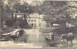 Delcampe - 28 - Environs De Châteauneuf - Le Moulin De Blévy - Châteauneuf