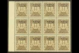 SOMALIA  1939 10c Brown Recapito Autorizzato, Sass 1, Superb NEVER HINGED MINT Marginal Block Of 12. Each Signed Stamp D - Autres & Non Classés
