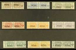 SOMALIA  PARCEL POST 1917-19 Overprints Complete Set (Sassone 1/9, SG P23/31), Fine Mint Horizontal Pairs, The Key 20c & - Autres & Non Classés