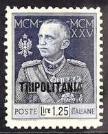 TRIPOLITANIA  1925 - 6 1L25 Blue Royal Jubilee, Variety "perf 11", Sass 25, Very Fine Mint. Well Centered For This Scarc - Sonstige & Ohne Zuordnung