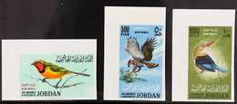 1964  Bird "Air" Set, Variety Imperforate, Michel 490B/92B, As Scott C26/28 & SG 627/29, Never Hinged Mint (3 Stamps) Fo - Jordanie