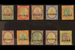 1903  Complete Set, Overprinted "SPECIMEN", SG 1/10s, Fine Mint. (10) For More Images, Please Visit Http://www.sandafayr - St.Kitts-et-Nevis ( 1983-...)