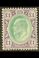 TRANSVAAL  1903 Ed VII £1 Green And Violet, Wmk CA, SG 258, Very Fine Mint. For More Images, Please Visit Http://www.san - Ohne Zuordnung