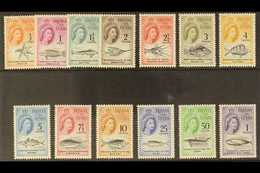 1961  Marine Life (South African Currency) Complete Definitive Set, SG 42/54, Never Hinged Mint. (13 Stamps) For More Im - Tristan Da Cunha