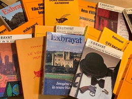 EXBRAYAT   Lot De 20 Livres - Paquete De Libros