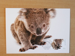 Maximum Card, Koala, Hedgehog - Other