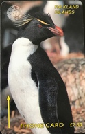 FALKLAND  -  Phonecard  -  Penguin  -  £ 7.50 - Falkland Islands