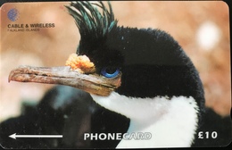 FALKLAND  -  Phonecard  -  King Cormorant  -  $ 10 - Falklandeilanden