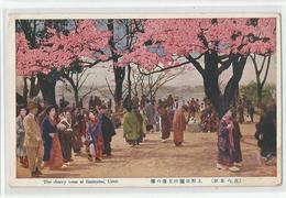 Cpa Japan Japon Ueno The Cherry Trees At Sannodai Arbres En Fleurs - Sonstige & Ohne Zuordnung