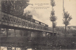 45 /  Chatillon Coligny : Le Pont Du Tramway   ////   Avril 20 //  REF. N° 11096 - Chatillon Coligny