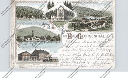 0-5805 BAD GEORGENTHAL, Lithographie 1898, Bahnhof, Schützenhof, Rodebachs Mühle.. - Georgenthal