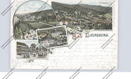 0-6303 BAD ELGERSBURG, Lithographie 1896, Bahnhof / Hotel Victoria, Kurhaus, Elgersburg... - Arnstadt