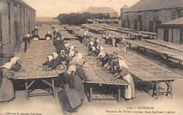 Quiberon     56      Femmes Des Usines Mettant Des Sardines A Sécher       (voir Scan) - Quiberon