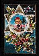 Ellen Clapsaddle - Young Boy With Christmas Toys - Wolf Antique Postcard - Clapsaddle