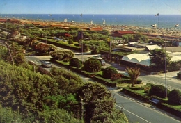 Delcampe - Forte Dei Marmi - Viale Lungomare - Formato Grande Viaggiata – E 15 - Grosseto