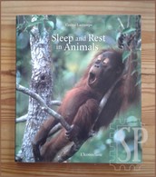 France 2002 Sleep And Rest In Animals Corine Lacrampe L'Iconoclaste Editions Shophie De Sivry Arte Gráfica Livro - Fotografía