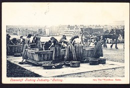 1904 Gelaufene AK Aus Lowestoft Nach Irland. Fisch Industrie "Fischpreparation" - Lowestoft