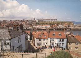 CPSM WHITBY - View From Church Steps     L3036 - Whitby
